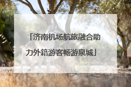 济南机场航旅融合助力外籍游客畅游泉城