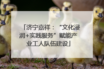 济宁嘉祥：“文化浸润+实践服务”赋能产业工人队伍建设