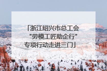 浙江绍兴市总工会“劳模工匠助企行”专项行动走进三门