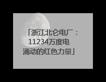 浙江北仑电厂：11234万度电涌动的红色力量