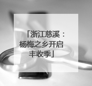 浙江慈溪：杨梅之乡开启丰收季