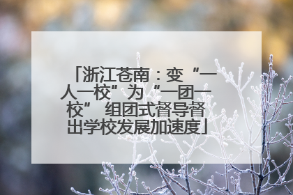 浙江苍南：变“一人一校”为“一团一校” 组团式督导督出学校发展加速度
