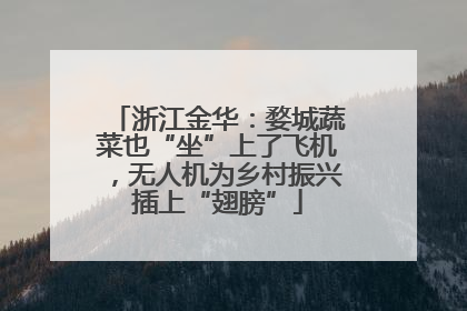 浙江金华：婺城蔬菜也“坐”上了飞机，无人机为乡村振兴插上“翅膀”