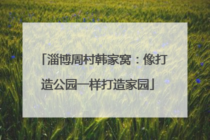 淄博周村韩家窝：像打造公园一样打造家园