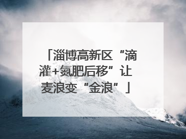 淄博高新区“滴灌+氮肥后移”让麦浪变“金浪”