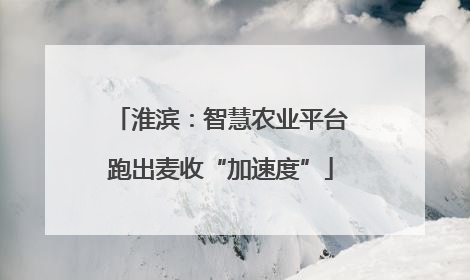 淮滨：智慧农业平台跑出麦收“加速度”