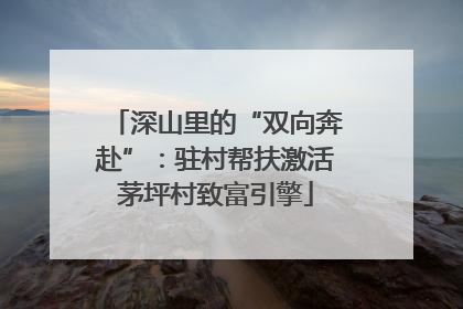 深山里的“双向奔赴”：驻村帮扶激活茅坪村致富引擎