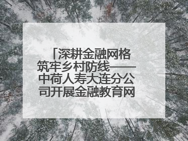 深耕金融网格 筑牢乡村防线——中荷人寿大连分公司开展金融教育网格化宣传活动