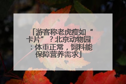 游客称老虎瘦如“卡片”？北京动物园：体重正常，饲料能保障营养需求