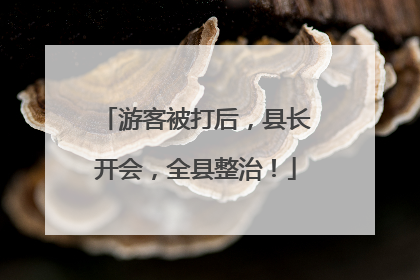 游客被打后，县长开会，全县整治！