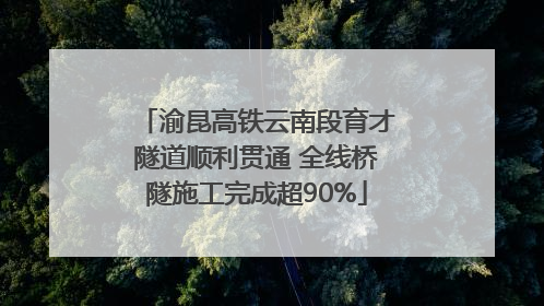 渝昆高铁云南段育才隧道顺利贯通 全线桥隧施工完成超90%