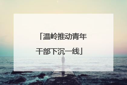 温岭推动青年干部下沉一线
