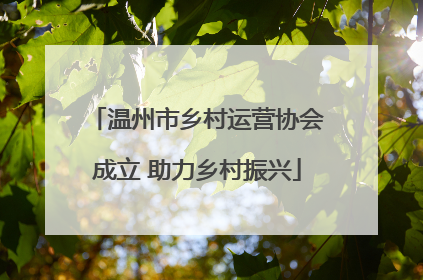 温州市乡村运营协会成立 助力乡村振兴