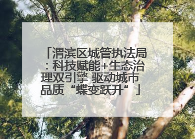渭滨区城管执法局：科技赋能+生态治理双引擎 驱动城市品质“蝶变跃升”