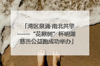 湾区泉涌·南北共擎——“花楸树”杯明湖慈善公益跑成功举办
