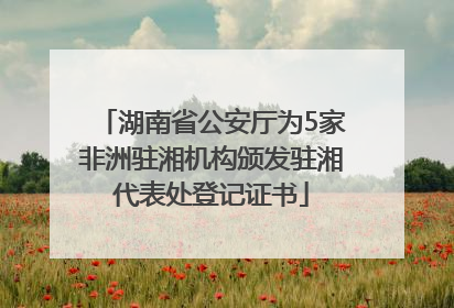 湖南省公安厅为5家非洲驻湘机构颁发驻湘代表处登记证书