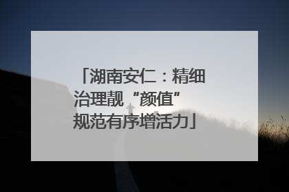 湖南安仁：精细治理靓“颜值” 规范有序增活力