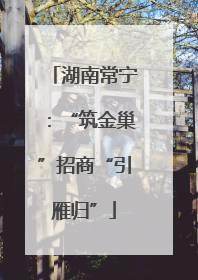 湖南常宁：“筑金巢”招商“引雁归”