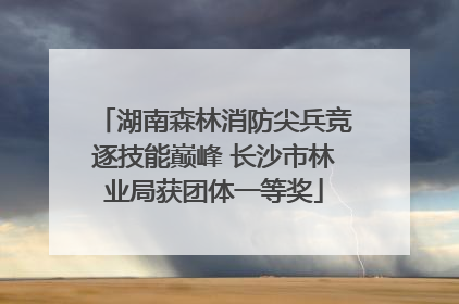 湖南森林消防尖兵竞逐技能巅峰 长沙市林业局获团体一等奖
