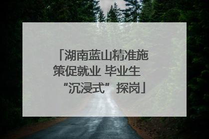 湖南蓝山精准施策促就业 毕业生“沉浸式”探岗