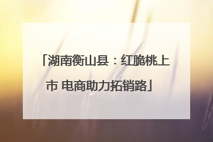 湖南衡山县：红脆桃上市 电商助力拓销路