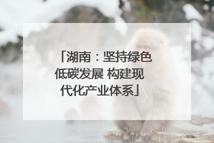 湖南：坚持绿色低碳发展 构建现代化产业体系