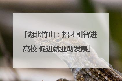 湖北竹山：招才引智进高校 促进就业助发展