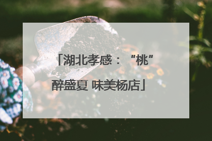 湖北孝感：“桃”醉盛夏 味美杨店