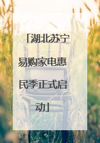 湖北苏宁易购家电惠民季正式启动
