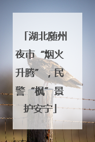湖北随州夜市“烟火升腾”，民警“枫”景护安宁