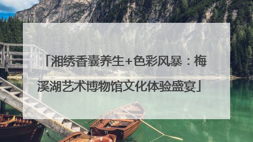 湘绣香囊养生+色彩风暴：梅溪湖艺术博物馆文化体验盛宴