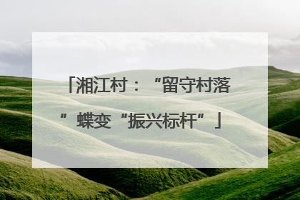 湘江村：“留守村落”蝶变“振兴标杆”