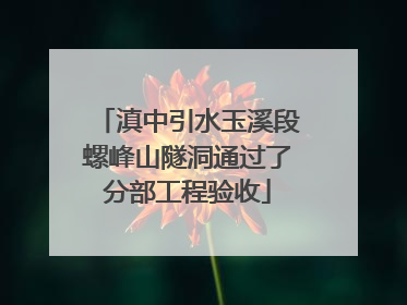 滇中引水玉溪段螺峰山隧洞通过了分部工程验收