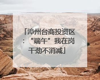 漳州台商投资区：“端午”我在岗 干劲不消减