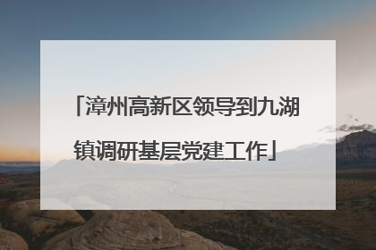 漳州高新区领导到九湖镇调研基层党建工作