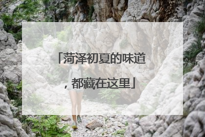 菏泽初夏的味道，都藏在这里