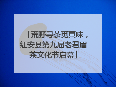 荒野寻茶觅真味，红安县第九届老君眉茶文化节启幕