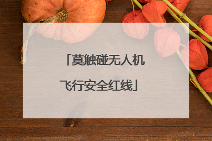 莫触碰无人机飞行安全红线