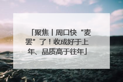 聚焦丨周口快“麦罢”了！收成好于上年、品质高于往年