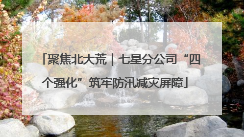 聚焦北大荒｜七星分公司“四个强化”筑牢防汛减灾屏障