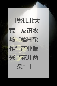 聚焦北大荒｜友谊农场“稻耳轮作”产业振兴“花开两朵”