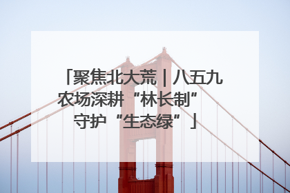 聚焦北大荒｜八五九农场深耕“林长制” 守护“生态绿”