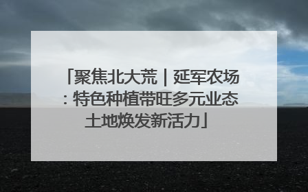 聚焦北大荒｜延军农场：特色种植带旺多元业态 土地焕发新活力