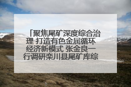 聚焦尾矿深度综合治理 打造有色金属循环经济新模式 张金良一行调研栾川县尾矿库综合治理工作