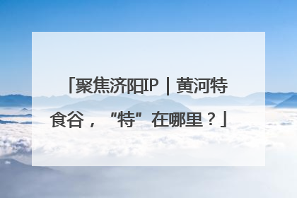 聚焦济阳IP｜黄河特食谷，“特”在哪里？