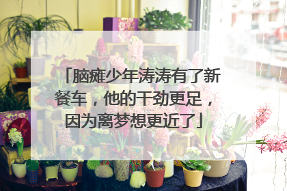 脑瘫少年涛涛有了新餐车，他的干劲更足，因为离梦想更近了