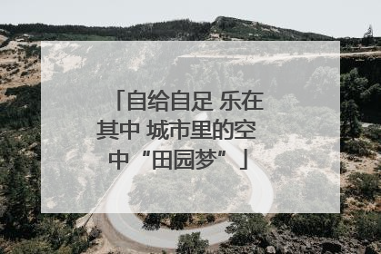 自给自足 乐在其中 城市里的空中“田园梦”