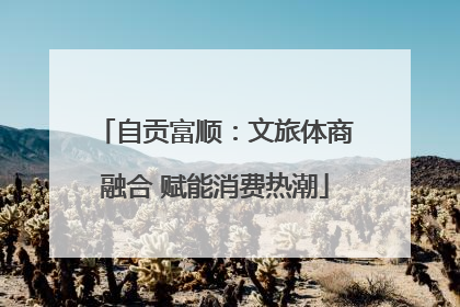 自贡富顺：文旅体商融合 赋能消费热潮