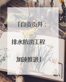 自贡贡井：排水防涝工程加速推进