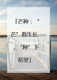芒种：“芒”着生长，“种”下希望